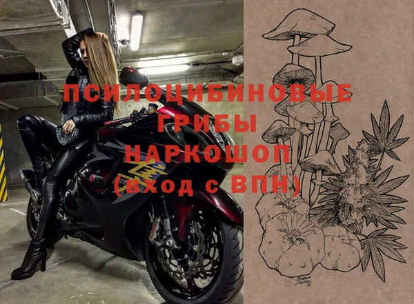 стафф Алексеевка