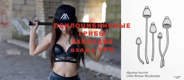 стафф Алексеевка