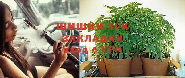 стафф Алексеевка