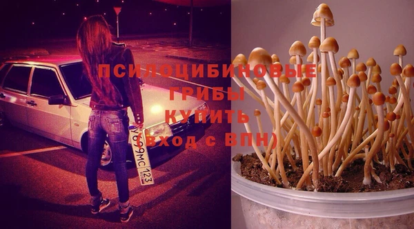 кокс Алексин