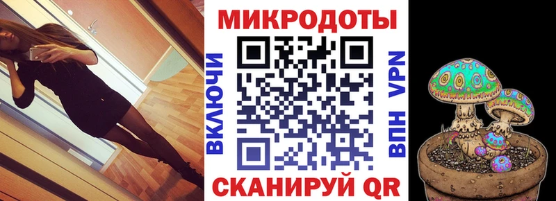 Псилоцибиновые грибы Psilocybine cubensis  Омутнинск 